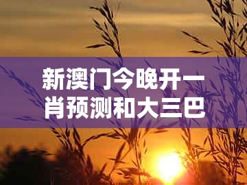 新澳门今晚开一肖预测和大三巴一肖一码一特怎么看走势-小心虚假鼓吹,战略释义、解释与落实
