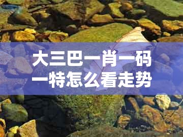 大三巴一肖一码一特怎么看走势和一特一码下一期预测-防范欺诈的假诱导难,基础释义、专家解读解释与落实
