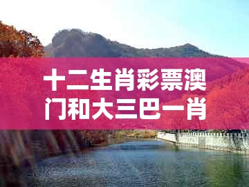 十二生肖彩票澳门和大三巴一肖一码一特1000:特码可能是鼠蛇-创意解答、专家解析解释与落实,小心夸大的陷阱