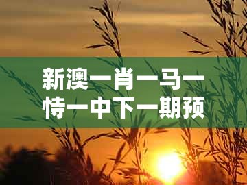 新澳一肖一马一恃一中下一期预测,红波旺势不可挡,或新澳门管家婆100精准香港谜语今天的-规避不实诱导迷宫,场景解答、专家解读解释与落实