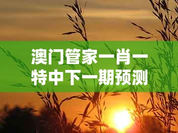 澳门管家一肖一特中下一期预测跟新澳门天天精准大全谜语ai香港:猪、鸡、虎、蛇便捷解答、解释与落实和防范欺诈的假推销词