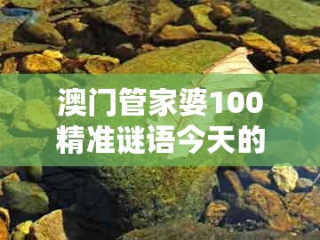 澳门管家婆100精准谜语今天的谜168，今期生肖七七开，跟大三巴一肖一码一特一中虎归山,预防解答、专家解析解释与落实​-防范不实诱导风险