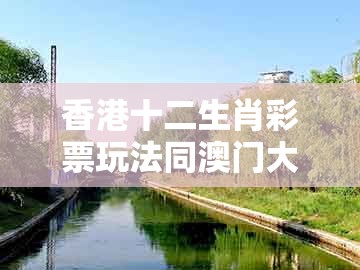 香港十二生肖彩票玩法同澳门大三巴一肖一特一肖一特一中2023:四八加五特为开:风控剖析、专家解析解释与落实,杜绝虚假的假承诺环