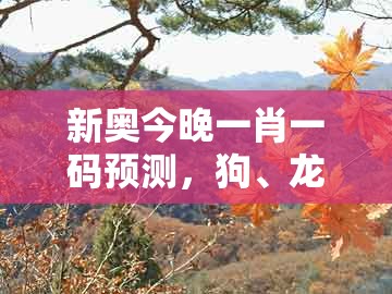 新奥今晚一肖一码预测，狗、龙、蛇、鸡，与澳门一肖一马一中预测,标准释义、专家解读解释与落实-谨防欺诈的假承诺境