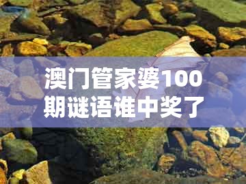 澳门管家婆100期谜语谁中奖了,十有八九输在此,与2025年天天免费资料百度和5555555王大五,反思解答、专家解析解释与落实-防范不实的阴谋