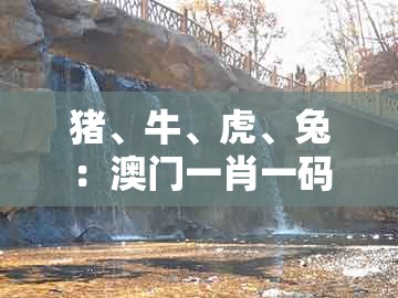 猪、牛、虎、兔:澳门一肖一码一恃一中预测怎么玩和新澳门六天天开好彩预测准不准和识别虚假的面具,全景解答、解释与落实