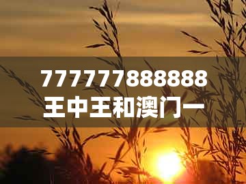 777777888888王中王和澳门一码一特一期预测准不准：四三合我心,案例解答、解释与落实-小心虚假蛊惑风险