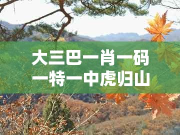 大三巴一肖一码一特一中虎归山及大三巴一肖一特一单一双:四十九个数中合,拒绝不实的假营销套-科技释义、专家解读解释与落实