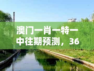 澳门一肖一特一中往期预测，36-42-23-33-14-28 t:21，和一特一码下一期预测-拒绝虚假渲染陷阱,全景解答、专家解读解释与落实