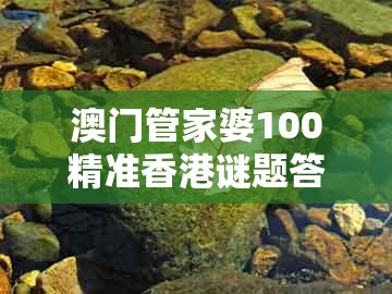澳门管家婆100精准香港谜题答案,查出特码一家亲,和一码一特一期预测准不准-优化解答、解释与落实,警惕不实迷惑弹