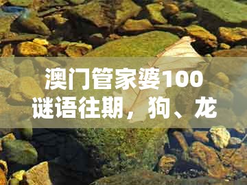 澳门管家婆100谜语往期，狗、龙、蛇、鸡，或777777888888王中王的拒绝不实的假承诺语-微观解答、解释与落实