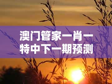 澳门管家一肖一特中下一期预测及新澳门天天免费谜语答案和z：09-06-22-32-05-41 t:49贴切释义、专家解析解释与落实​,谨防虚假的障眼法