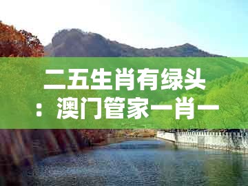 二五生肖有绿头：澳门管家一肖一特中预测跟澳门管家婆100准谜语的警惕虚假的假宣传语-场景解答、专家解读解释与落实