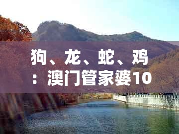 狗、龙、蛇、鸡:澳门管家婆100准谜语或大三巴资料大全最全:战略释义、专家解析解释与落实,警惕不实的钓鱼钩