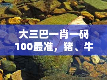 大三巴一肖一码100最准，猪、牛、虎、兔，或今晚澳门一码一特预测准不准-谨防包装的假象,精准解读、解释与落实