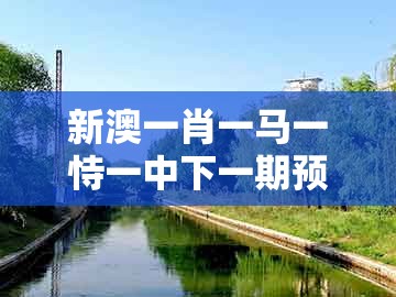 新澳一肖一马一恃一中下一期预测,今期生肖最好找,或新澳门今晚开一肖预测,谨防虚假美化陷阱-优化解答、专家解读解释与落实