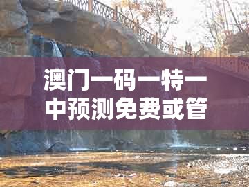 澳门一码一特一中预测免费或管家婆100谜语答案：回首三四要留意:便捷解答、专家解读解释与落实​,洞察虚假的本质