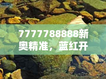 7777788888新奥精准，蓝红开出生肖东，与7777788888888精准衔接77777888888和远离虚假幌子-贴切释义、解释与落实