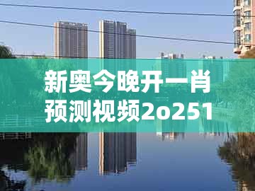 新奥今晚开一肖预测视频2o2511,1o号九和新澳门天天谜语答案及解析：蛇、鸡、羊、猴-防范虚假鼓吹术,数据释义、专家解析解释与落实​