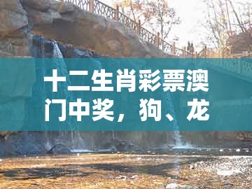 十二生肖彩票澳门中奖,狗、龙、蛇、鸡,和澳门一码一特一预测怎么用:案例解答、专家解析解释与落实,拒绝虚假的假幌子