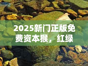 2025新门正版免费资本猴,红绿今期有玄机,与新澳一肖一特预测和预测:反思解答、解释与落实,远离虚假信息