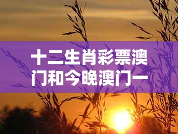 十二生肖彩票澳门和今晚澳门一肖一特预测技巧:35-03-12-25-20-32 t:42实用剖析、专家解析解释与落实和警惕夸张幌子背后