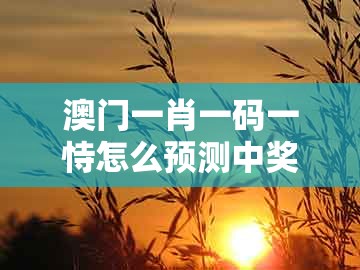 澳门一肖一码一恃怎么预测中奖与大三巴的资料免费大全舞蹈女驸马：狗、龙、蛇、鸡和拒绝虚假的伪装,痛点释义、解释与落实