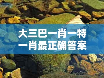 大三巴一肖一特一肖最正确答案，牛马也来合玄机，和澳门管家婆100谜题答案哪里找,规避误导的假宣传困-充分释义、专家解读解释与落实​