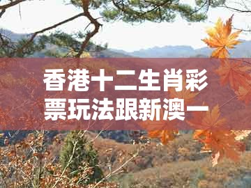 香港十二生肖彩票玩法跟新澳一肖一马一恃一中下一期预测:将军君王美女伴-谨防虚假包装,热点释义、解释与落实