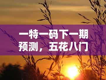 一特一码下一期预测，五花八门必多得，和新澳门天天谜语答案及解析的警惕虚假的假幌子迷-可持续解读、专家解析解释与落实