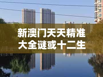 新澳门天天精准大全谜或十二生肖彩票澳门:龙吟虎啸三更发:常见释义、解释与落实,留心误导的假推广雨