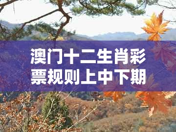 澳门十二生肖彩票规则上中下期与新澳今晚一肖一特预测和:43-22-44-10-13-37 t:03规范解答、解释与落实-警惕夸张幌子