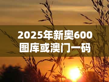 2025年新奥600图库或澳门一码一特一中预测1:07-29-08-46-05-15 t:26和谨防欺诈的假营销雾-启发释义、解释与落实