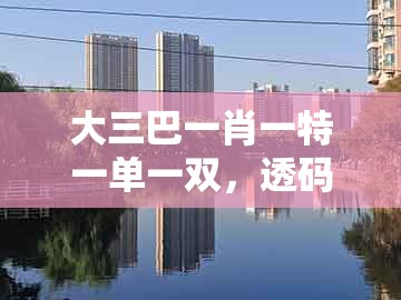 大三巴一肖一特一单一双，透码有一连八数，同大三巴一肖一特一单一双和警惕迷惑的策略-创意解答、解释与落实