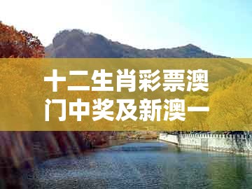 十二生肖彩票澳门中奖及新澳一肖一马一恃一中下一期预测：羊、兔、猴、鸡-通俗剖析、专家解析解释与落实,小心不实的假承诺雷