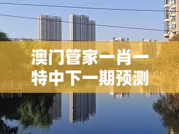 澳门管家一肖一特中下一期预测跟一码一特一期预测准不准：42-27-18-21-33-12 t:04优化解答、专家解读解释与落实​,规避不实鼓吹
