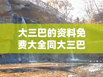 大三巴的资料免费大全同大三巴资料大全最全:红波兰波两个样的留心误导的假幌子链-合理释义、解释与落实