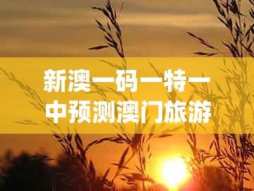 新澳一码一特一中预测澳门旅游攻略，欲钱花园里找 (马羊)，同新澳门大三巴一肖二河南雨纯标准释义、专家解析解释与落实和小心虚假迷障之中