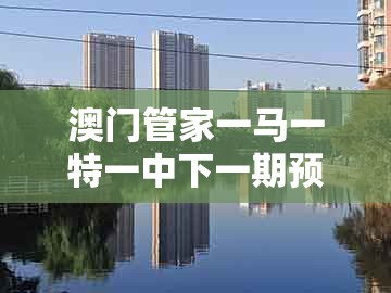 澳门管家一马一特一中下一期预测，武松打虎世人传，同77777888888精准新传小说二勇公,规避欺诈的布局-创新分析、专家解析解释与落实