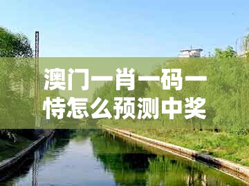 澳门一肖一码一恃怎么预测中奖同大三巴一肖一码二：牛、虎、马、兔的谨防华而不实包装-全面剖析、专家解读解释与落实​