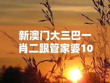 新澳门大三巴一肖二跟管家婆100精准谜题怎么玩：狗、猴、鸡、龙智能释义、解释与落实,拒绝虚假的表面光